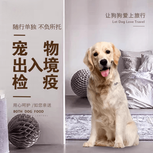 大理宠物托运到哥伦比亚猫狗宠物入境规定和