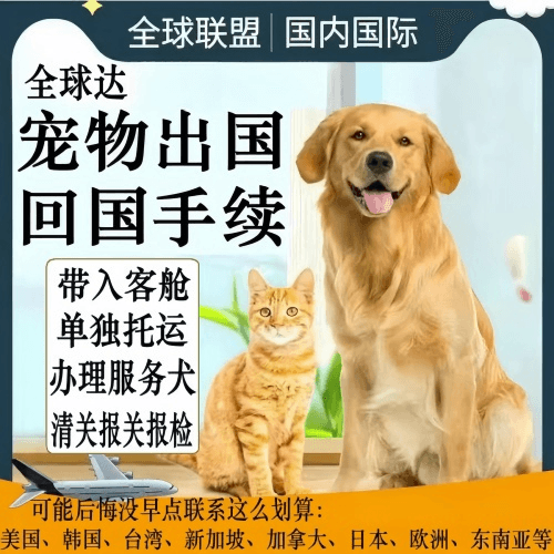 大理宠物托运到柬埔寨宠物入境规定和要求