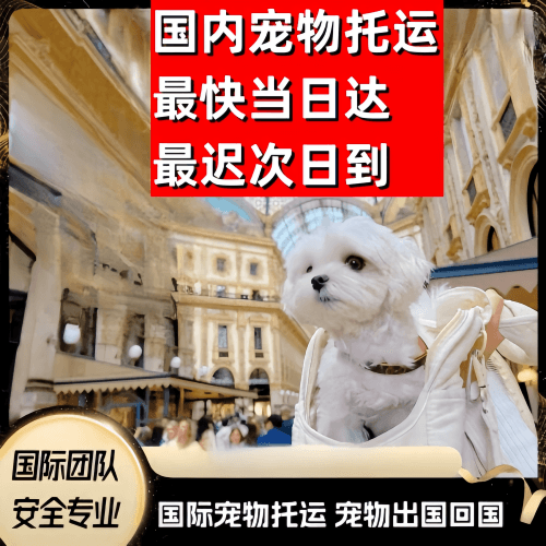 大理到澳大利亚（澳洲）宠物入境规定和要求