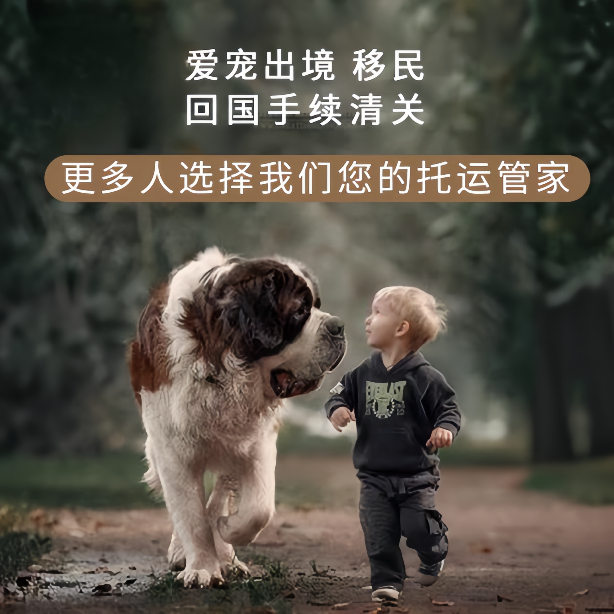 满财大理宠物全球达宠物托运在遵守入境目的地政策的条件