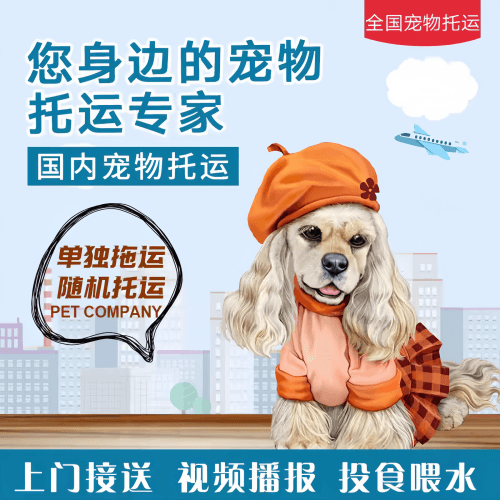 满财大理宠物全球达宠物托运作为专业的宠物运输代理机构